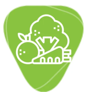 Alimentação Saudável